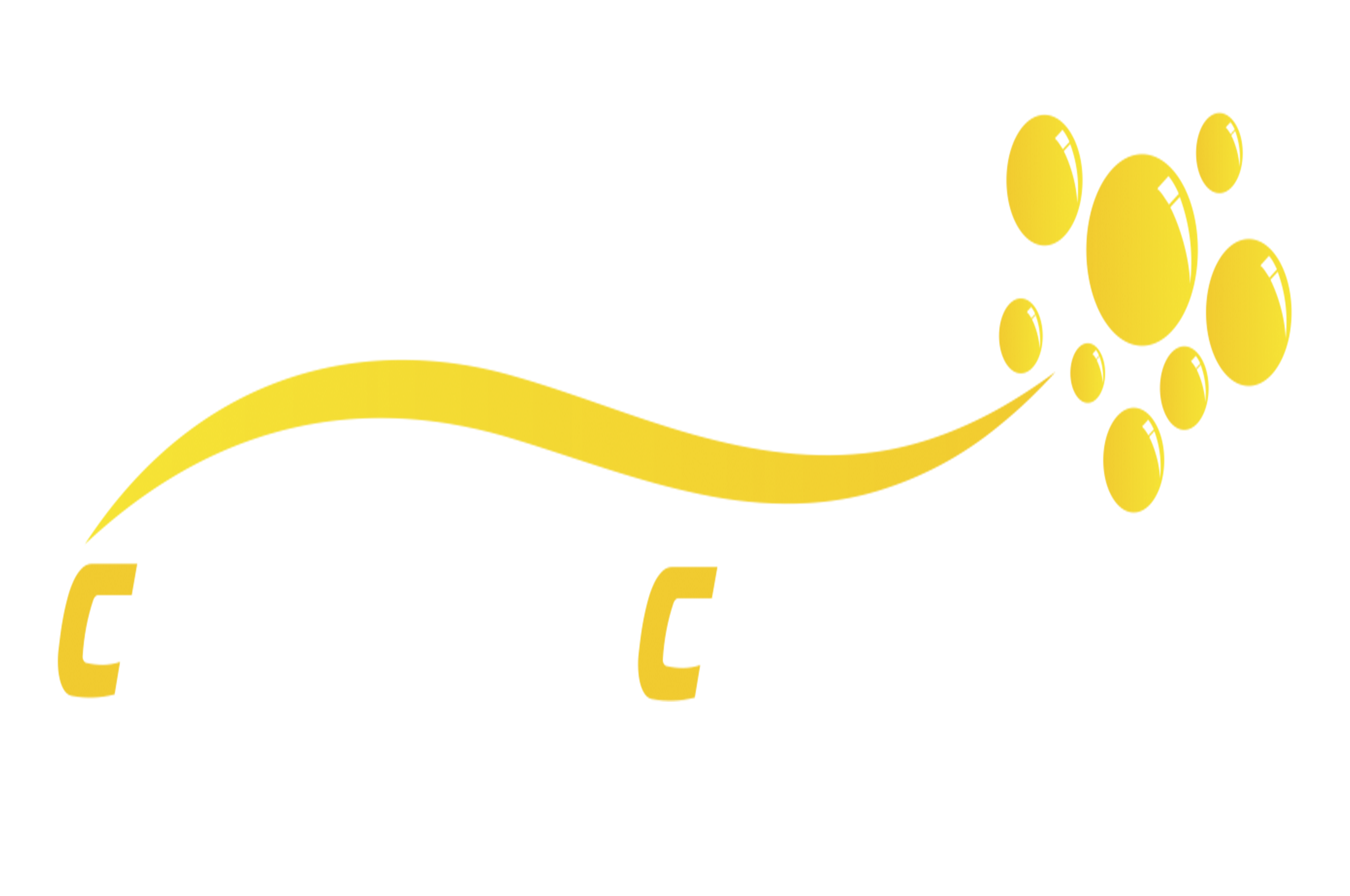 کاروشا